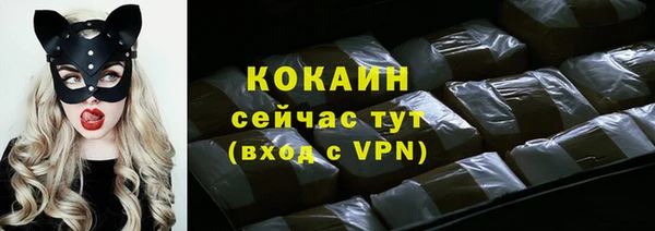 дживик Белокуриха