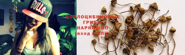 дживик Белокуриха