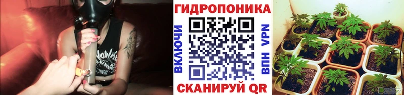 Бошки Шишки Ganja  Завитинск 